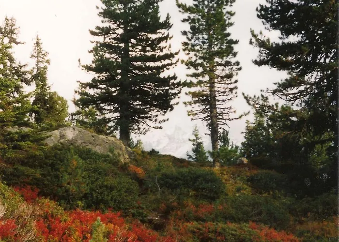 Panoramablick Daire *